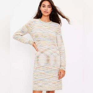 LOFT Women's Rainbow Spacedye Sweater Dress Petite Small Long Sleeve Knit
